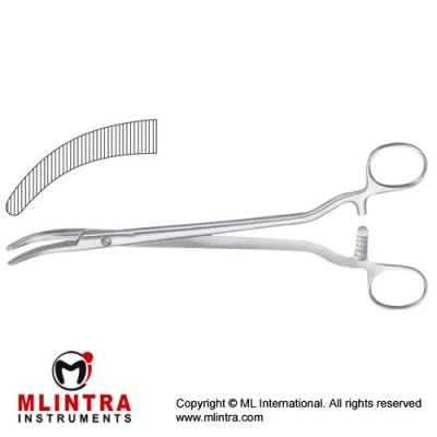 Segond Hysterectomy Forcep Curved Stainless Steel, 24 cm - 9 1/2"